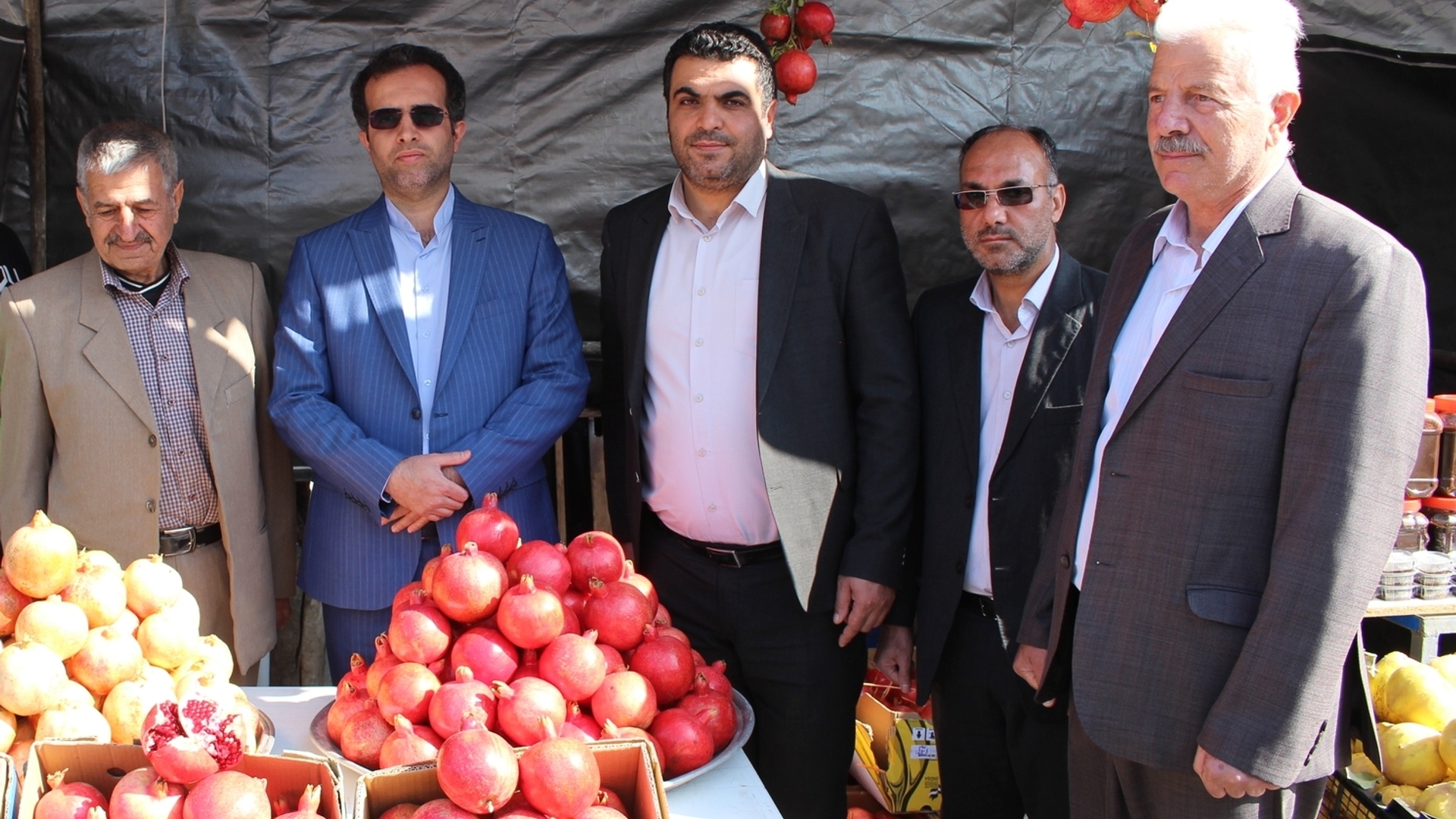افتتاح و بازدید از غرفه های فروش محصولات و فرآورده های انار در جشنواره انار خورهه