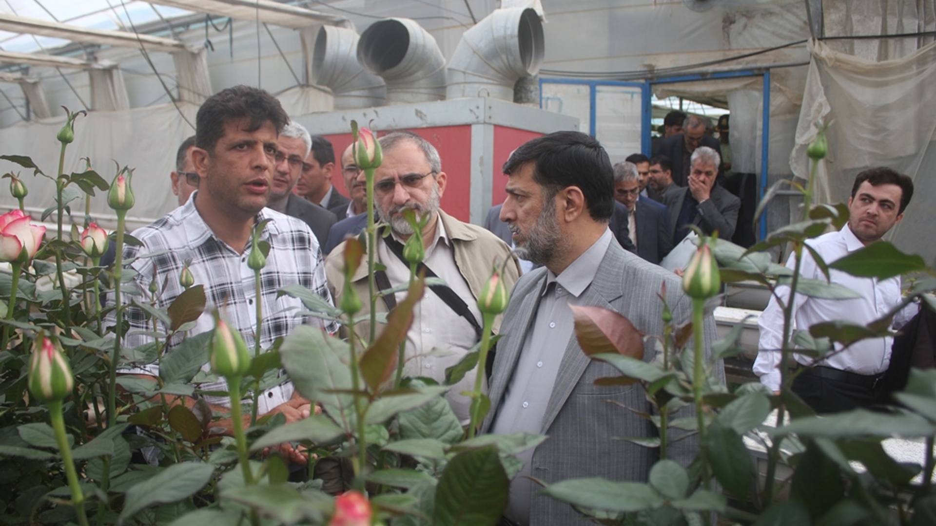سرپرست وزارت جهاد کشاورزی از پردیس تحقیقات لوبیای شهرستان خمین بازدید کرد