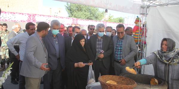 فرماندار از نمایشگاه محصولات خانگی و گل های آپارتمانی روستای شهابیه بازدید کرد