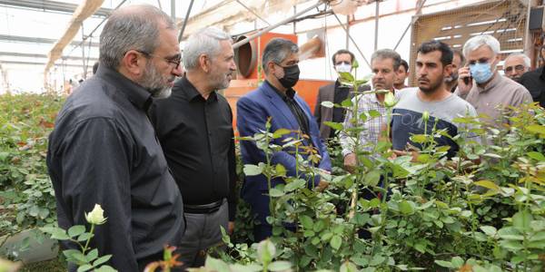 بازدید از شهرک گل و گیاه واقع در شهرستان خمین