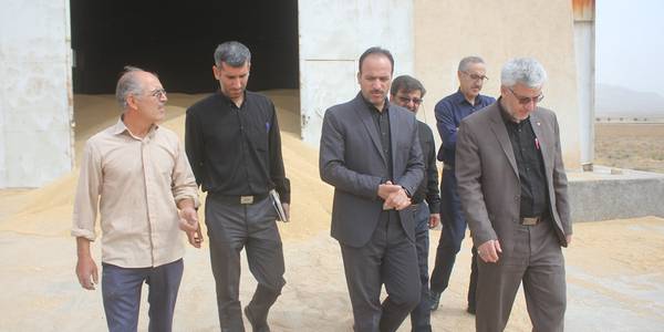 فرماندار از مراکز خرید گندم در شهرستان خمین بازدید کرد