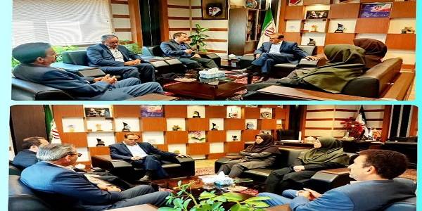 نشست هیئت بازرسی انتخابات با سرپرست فرمانداری شهرستان شازند