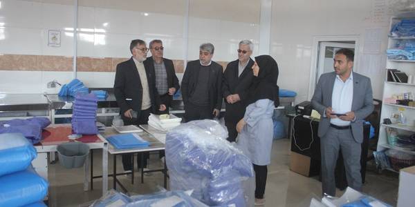 فرماندار و مدیر کل صمت استان  از تعدادی از واحدهای تولیدی روستایی شهرستان خمین بازدید کردند